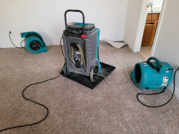 Best Water damage contractors near me  in Olcott, NY