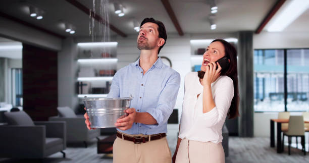 Best Commercial water damage restoration  in Olcott, NY